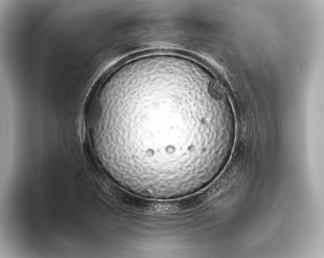 X0000093411271200710260930