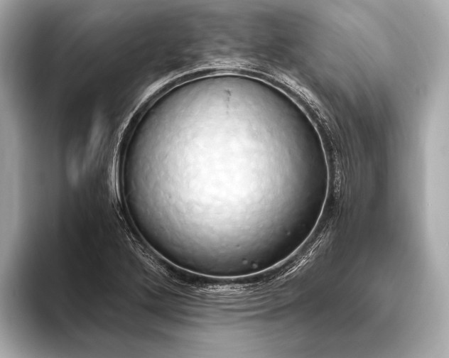 X0000093411272200710260930