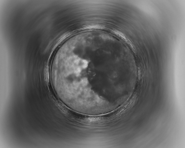 X0000093411274200710260930