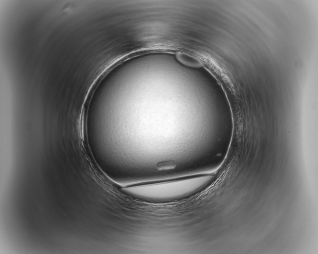 X0000093411276200710260930