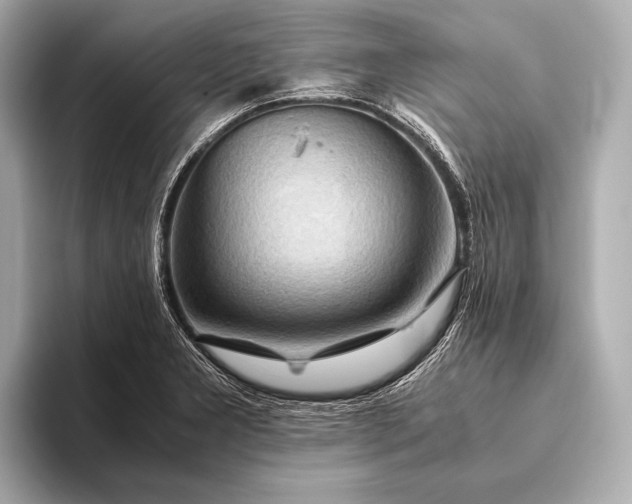 X0000093411277200710260930