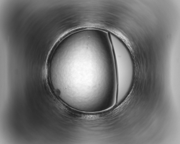 X0000093411280200710260930