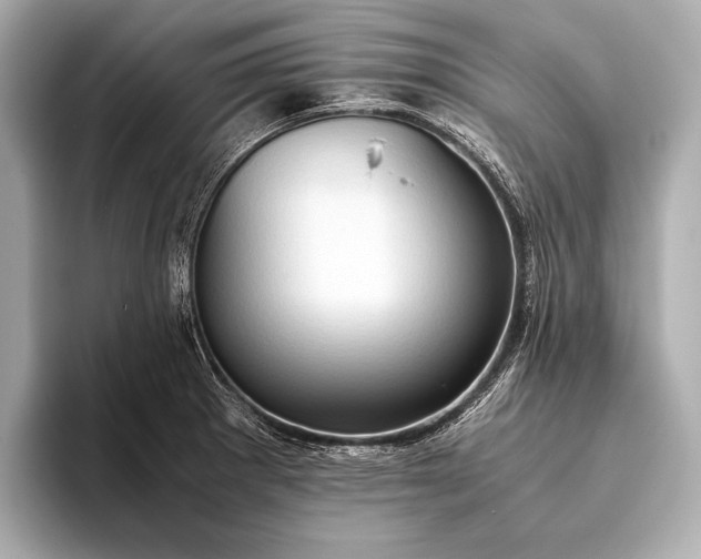 X0000093411281200710260930