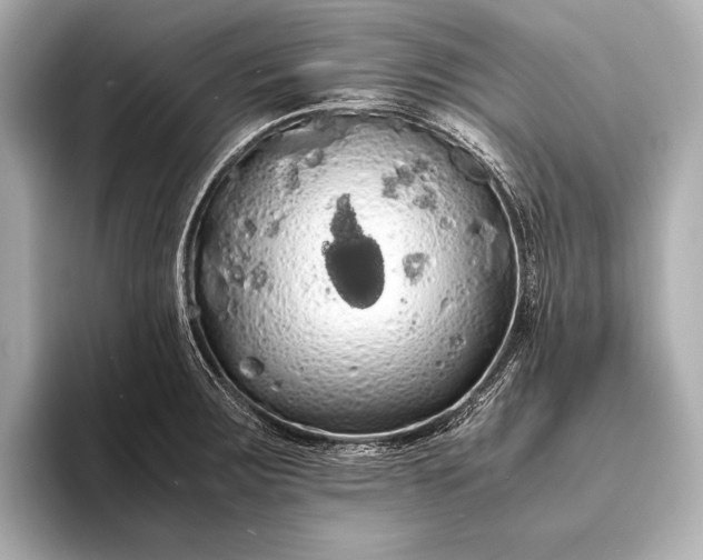 X0000093411283200710260930