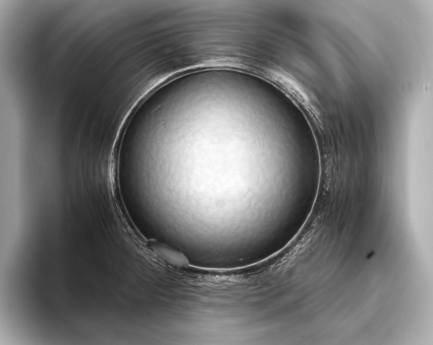 X0000093411284200710260930