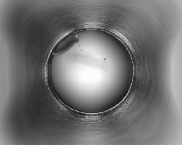 X0000093411285200710260930