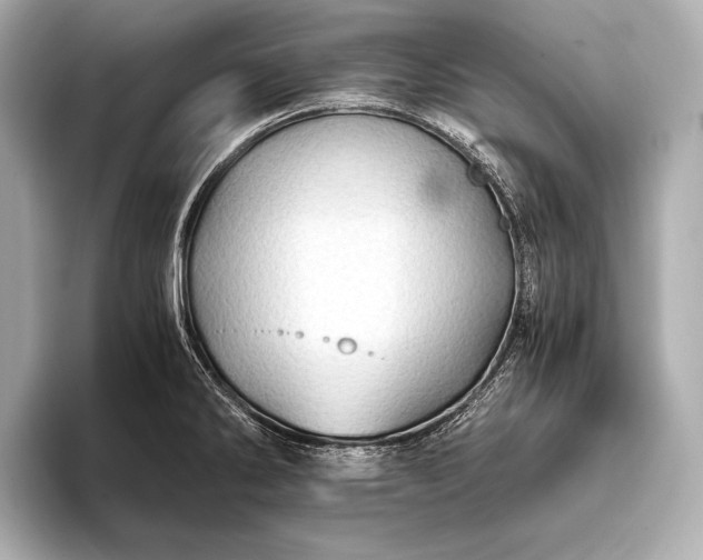 X0000093411286200710260930