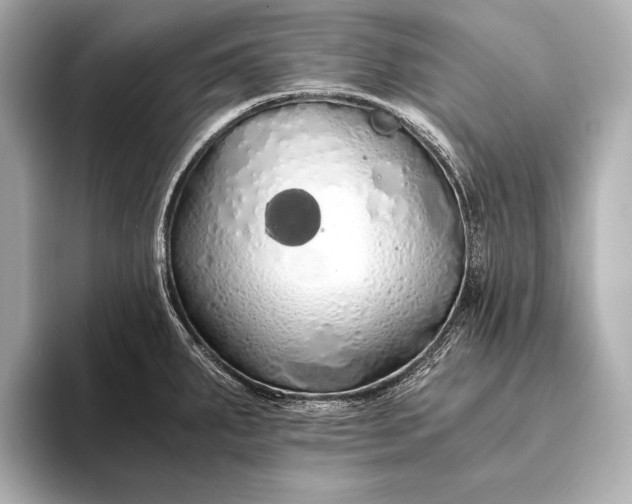 X0000093411287200710260930