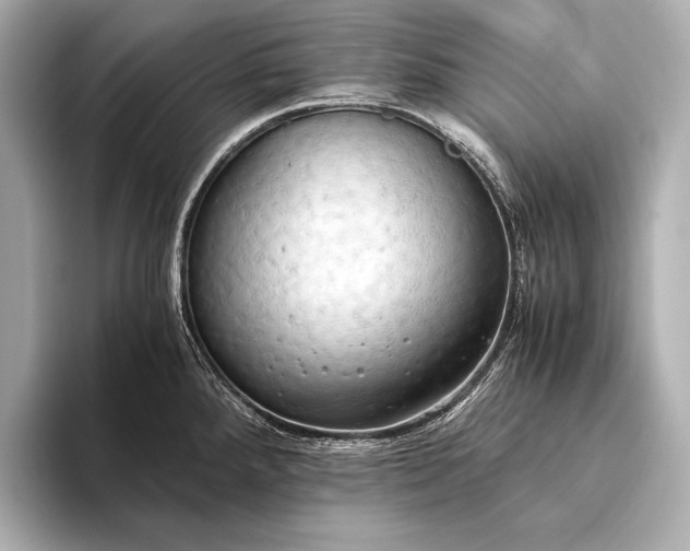 X0000093411288200710260930