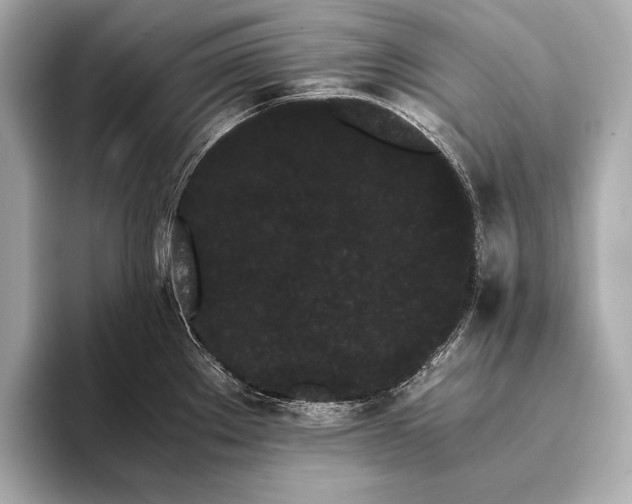 X0000093411289200710260930