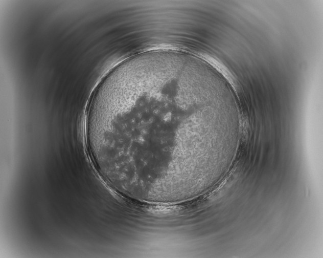 X0000093411290200710260930