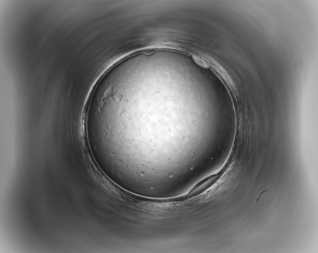 X0000093411292200710260930