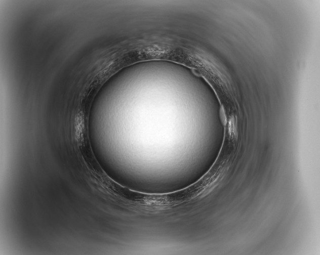 X0000093411299200710260929