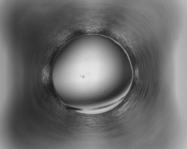 X0000093411300200710260929