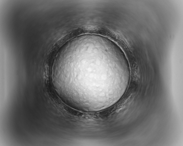 X0000093411301200710260929