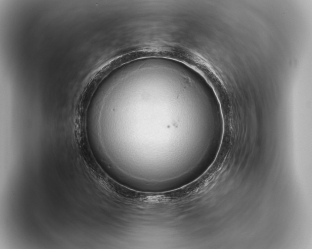 X0000093411304200710260929