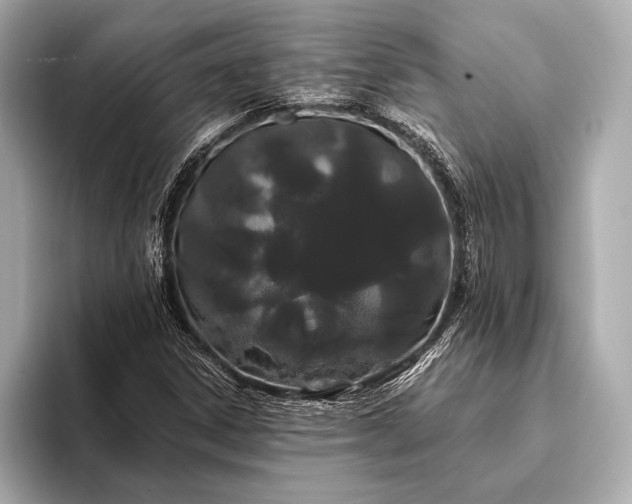 X0000093411306200710260929