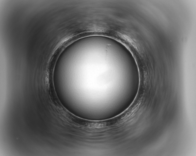 X0000093411307200710260929