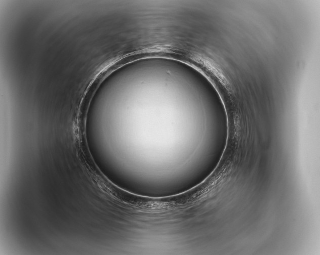 X0000093411308200710260929