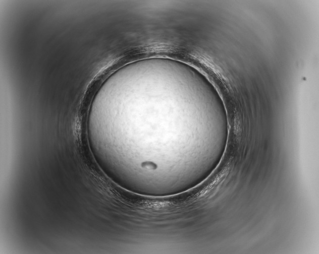 X0000093411309200710260929