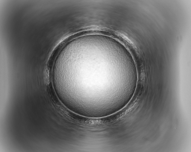 X0000093411310200710260929