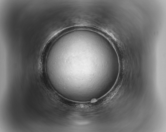 X0000093411311200710260929