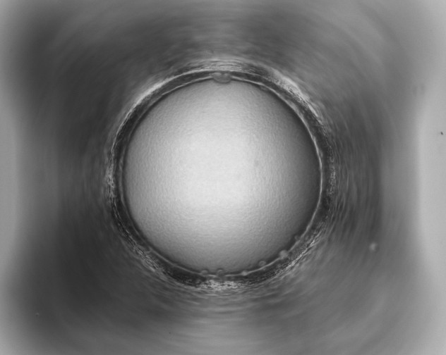 X0000093411312200710260929