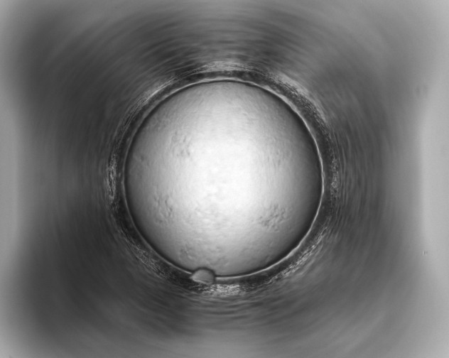 X0000093411313200710260929