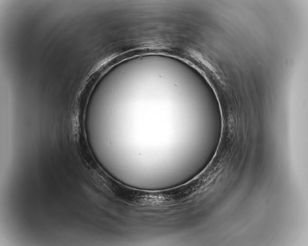 X0000093411315200710260930