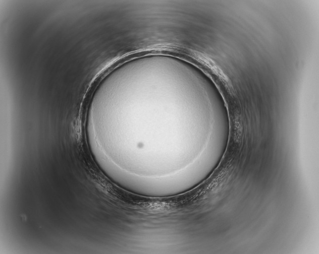 X0000093411316200710260930