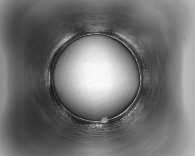 X0000093411317200710260930