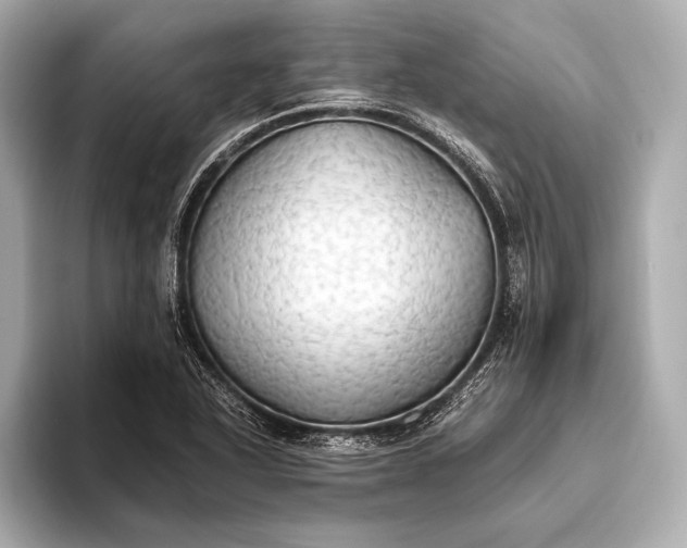 X0000093411318200710260930