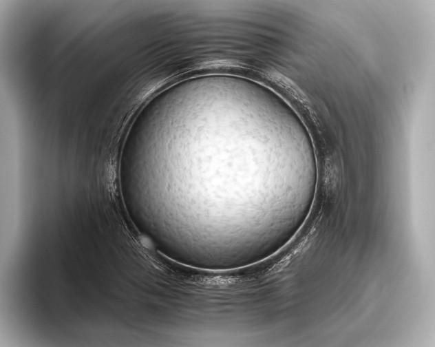 X0000093411321200710260930