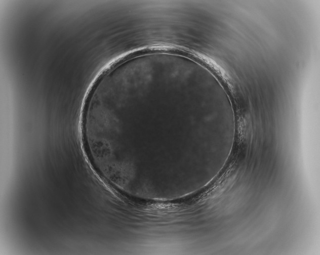 X0000093411327200710260930