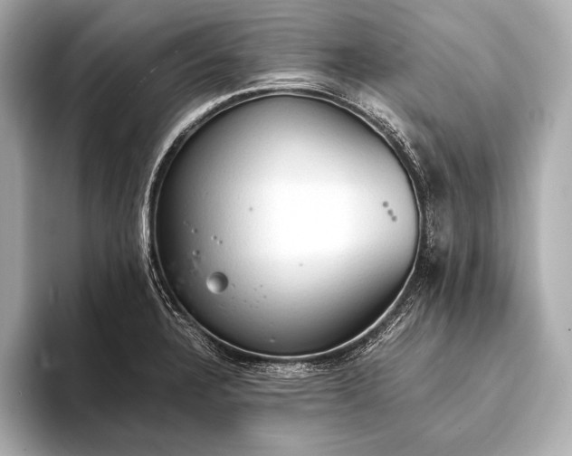 X0000093411328200710260930