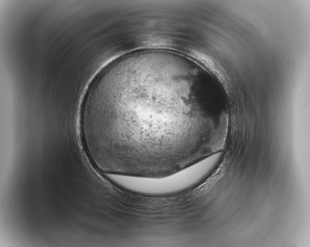 X0000093411331200710260930