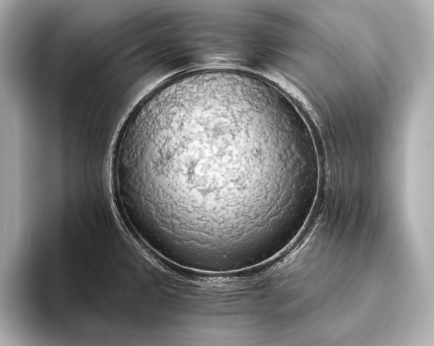 X0000093411333200710260930