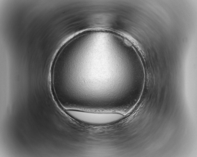 X0000093411335200710260930