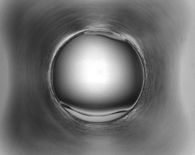 X0000093411344200710260930