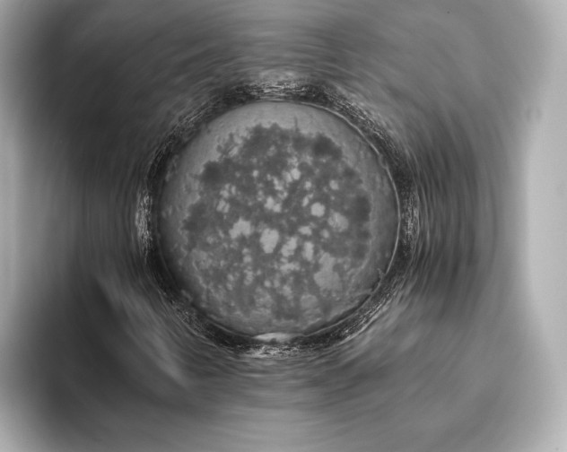 X0000093411346200710260929