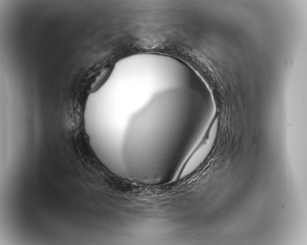 X0000093411349200710260929