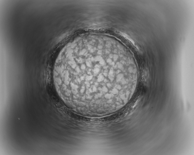 X0000093411350200710260929