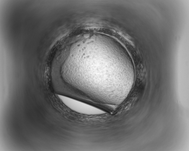 X0000093411351200710260929