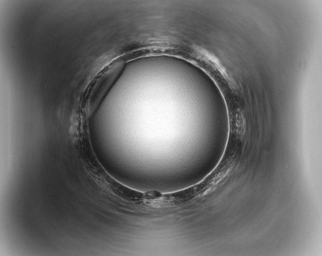 X0000093411352200710260929