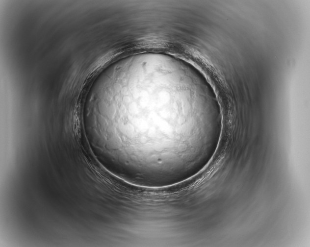 X0000093411354200710260929