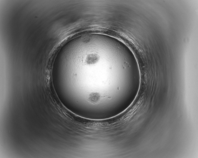 X0000093411355200710260929