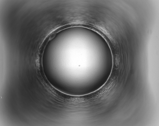 X0000093411356200710260929