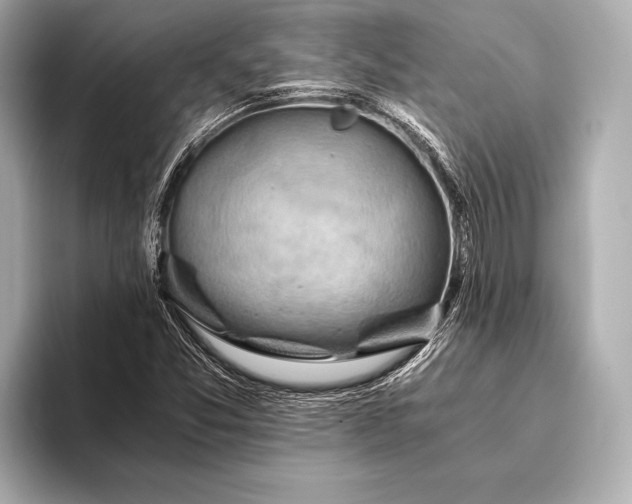 X0000093411357200710260929