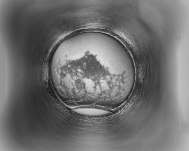 X0000093411358200710260929