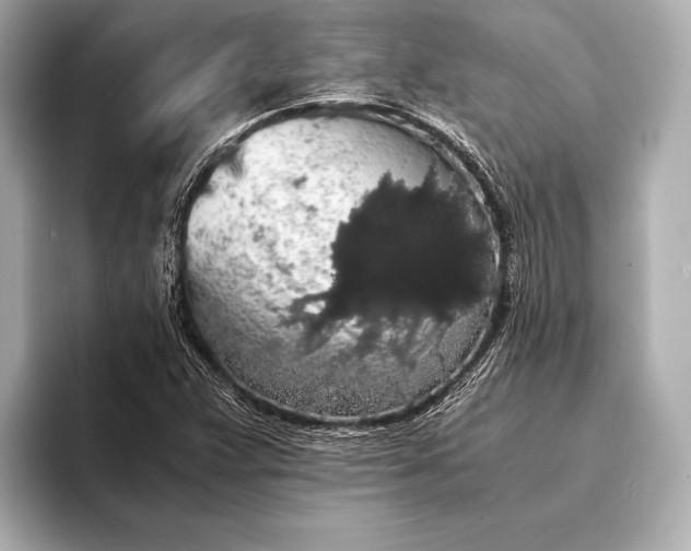 X0000093411359200710260929